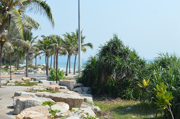 Rayong
